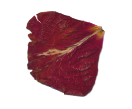 beyond cheap gestures